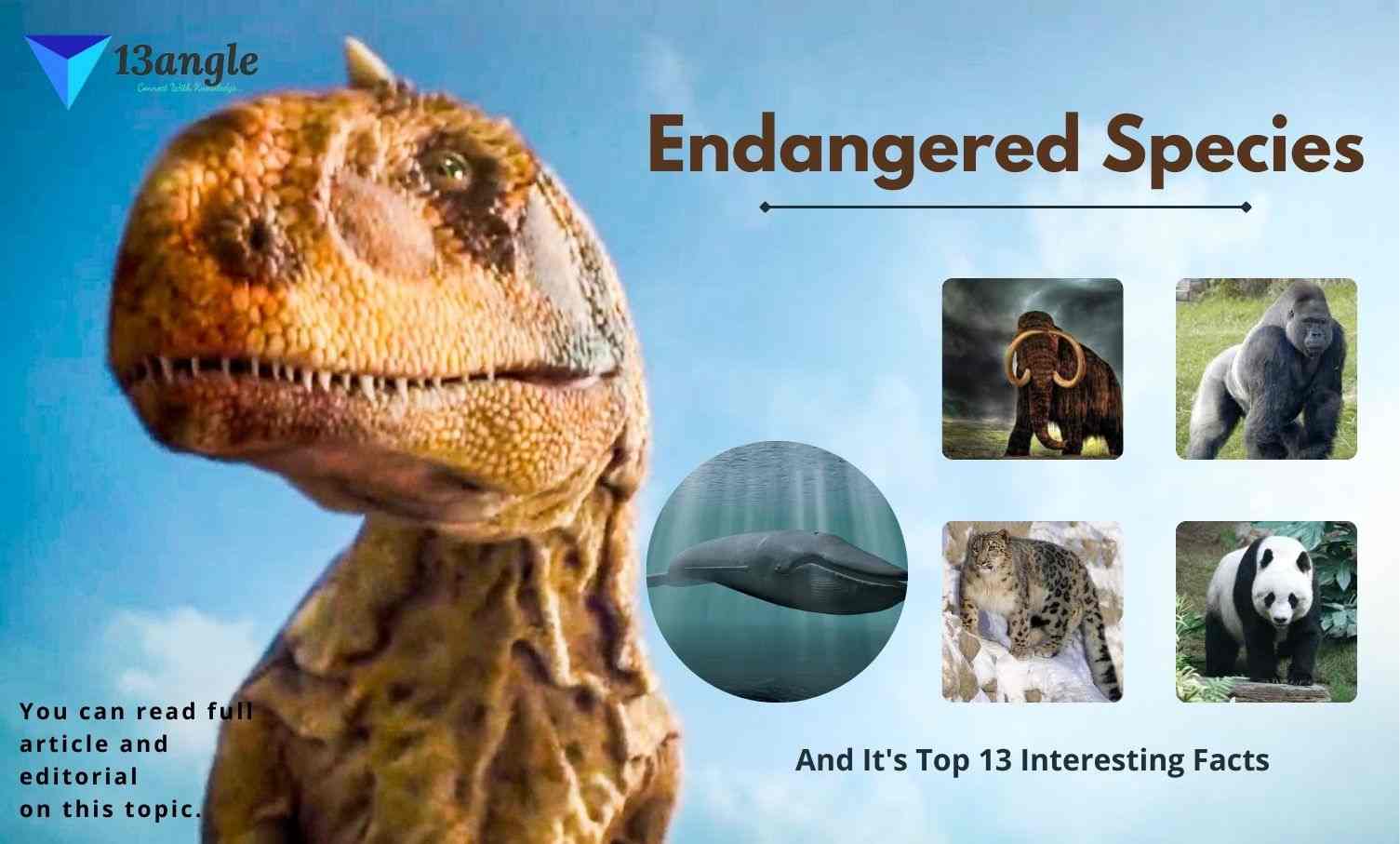 Endangered Species And Its Top 13 Interesting Facts | IUCN Red List Of  Threatened Species- 13angle