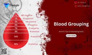 Blood Grouping And It's Top 13 Interesting Facts- 13angle.com