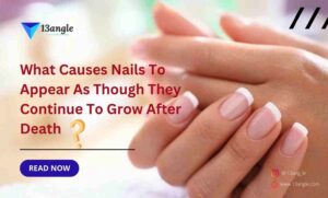 What Causes Nails To Appear As Though They Continue To Grow After Death- The Bridge (13angle)