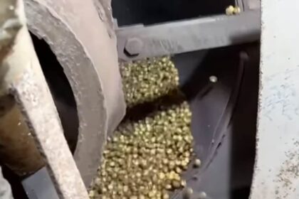 Watch: Video From Surat Factory Capturing Making Of Roasted Chana