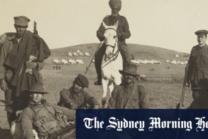 This moving doco is more than just a history of the ANZACs in Gallipoli