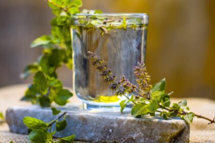 5 Lesser-Known Health Benefits Of Consuming Tulsi Water Every Day
