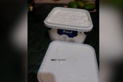 Viral: Woman Claims She Found Insect In Amul Ice Cream Ordered Via Blinkit, Company Responds