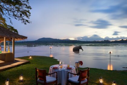 Sri Lanka Is Truly A Paradise Where Sustainability Meets Flavour
