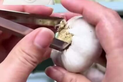 This Viral Garlic Peeling Hack Has More Than 54 Million Views, But Not Everyone Is Convinced