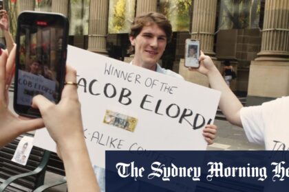 Melbourne crowns its Jacob Elordi lookalike: ‘the only one who’s tall’