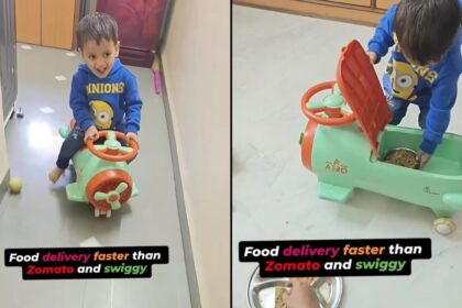 Viral: Swiggy Admits Defeat To Toddler Delivering Food "Faster" Than Any Other App