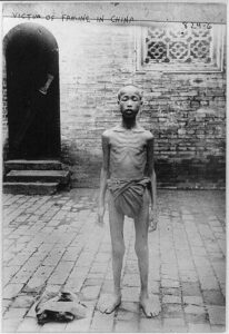 Chinese Famines​- 13angle.com