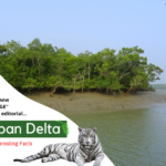 Sundarbans Delta- 13angle.com