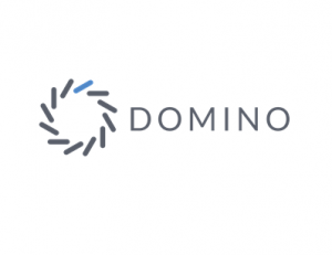 Domino logo- 13angle.com
