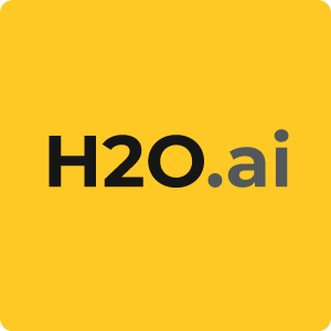 H20.ai logo- 13angle.com