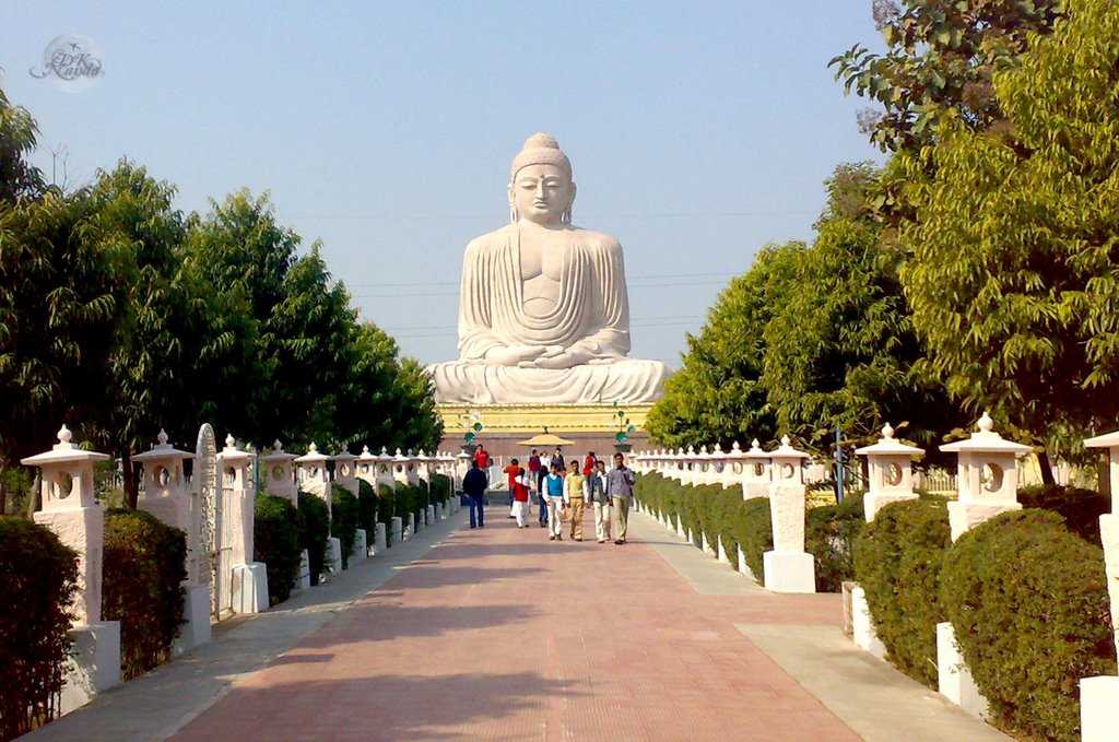 Great Buddha Statue- 13angle.com