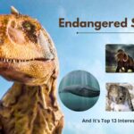 Endangered Species And It's Top 13 Interesting Facts- 13angle.com