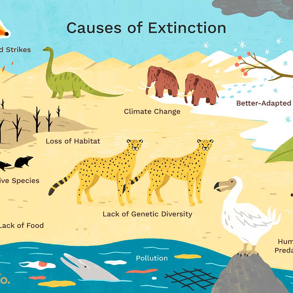 reasons-animals-go-extinct-13angle.com
