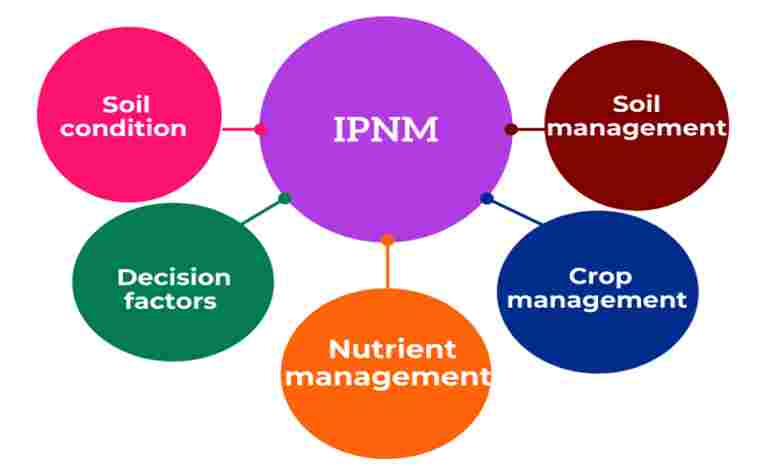 IPNM Include- 13angle.com