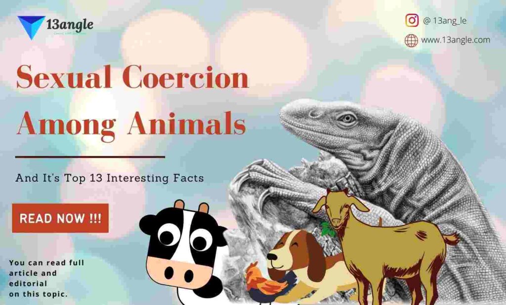 Sexual Coercion Among Animals And It's Top 13 Interesting Facts- 13angle.com