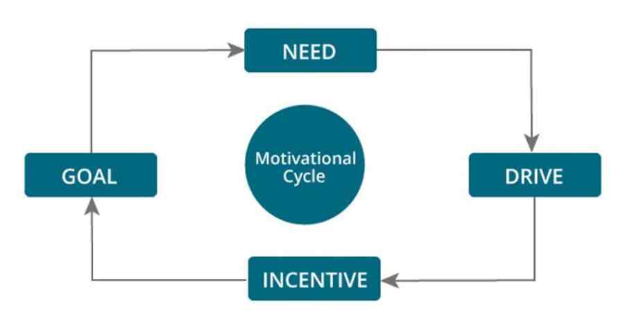 Motivational cycle- 13angle.com