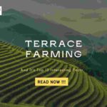 Terrace Farming And It's Top 13 Interesting Facts- 13angle.com