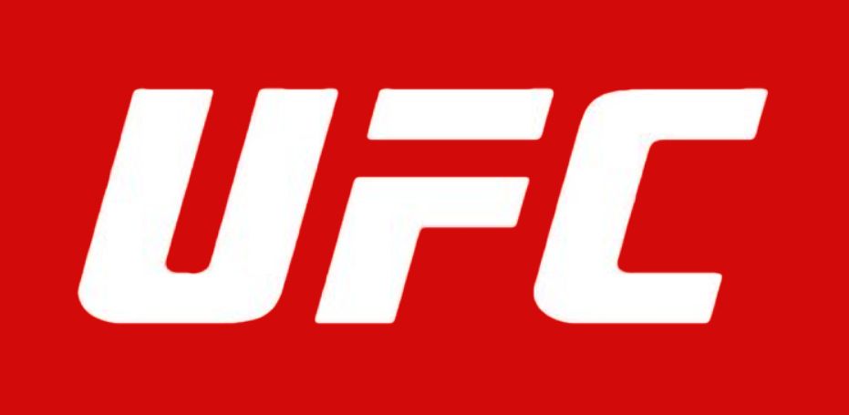 UFC- 13angle.com