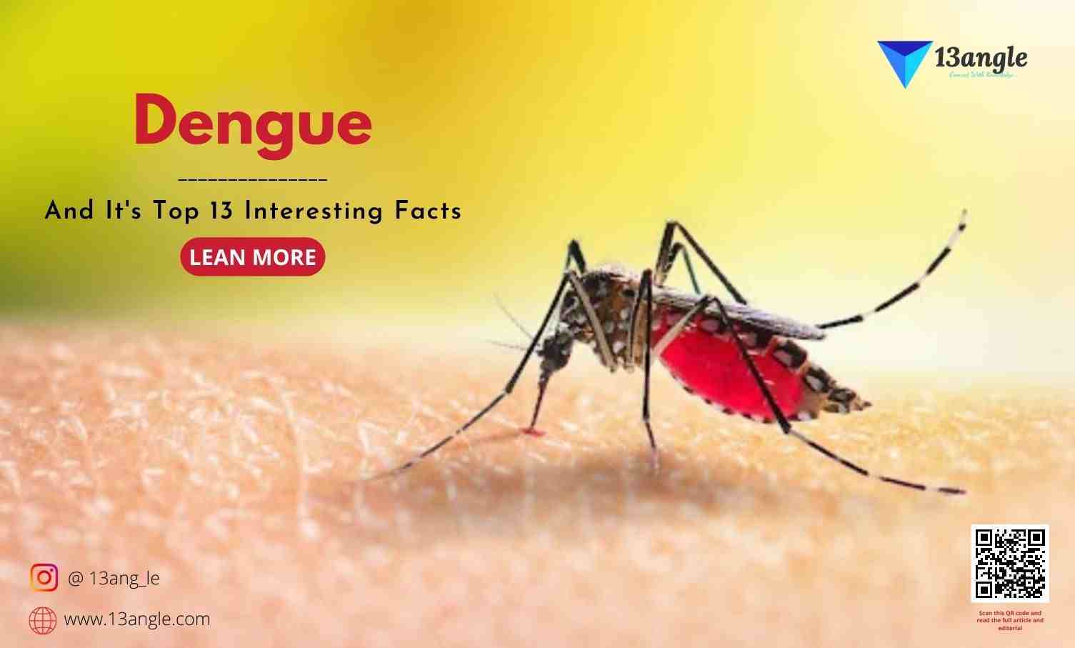 Dengue And It's Top 13 Interesting Facts- 13angle.com