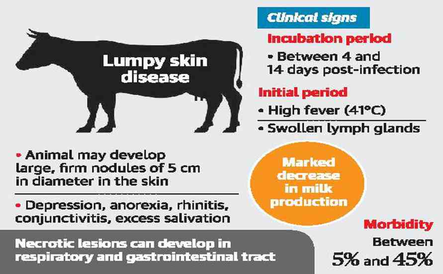 Epidemiology of lumpy skin disease- 13angle.com