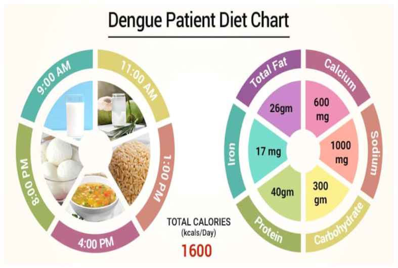 Foods to be taken during dengue- 13angle.com
