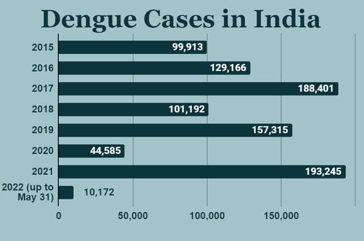 dengue cases in India- 13angle.com
