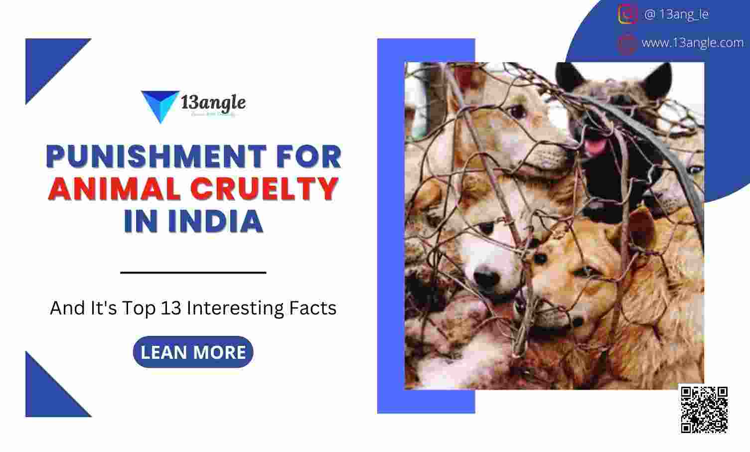 punishment-for-animal-cruelty-in-india-and-its-top-13-interesting-facts