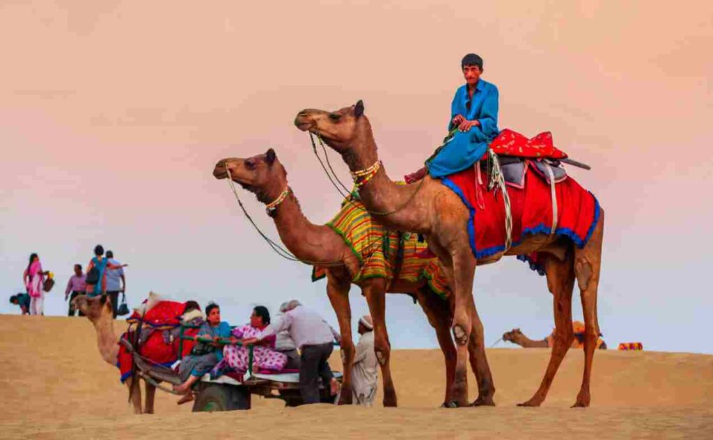Morning safari with camel- dunetrekking